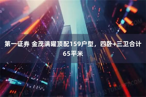 第一证券 金茂满曜顶配159户型,四卧+三卫合计65平米